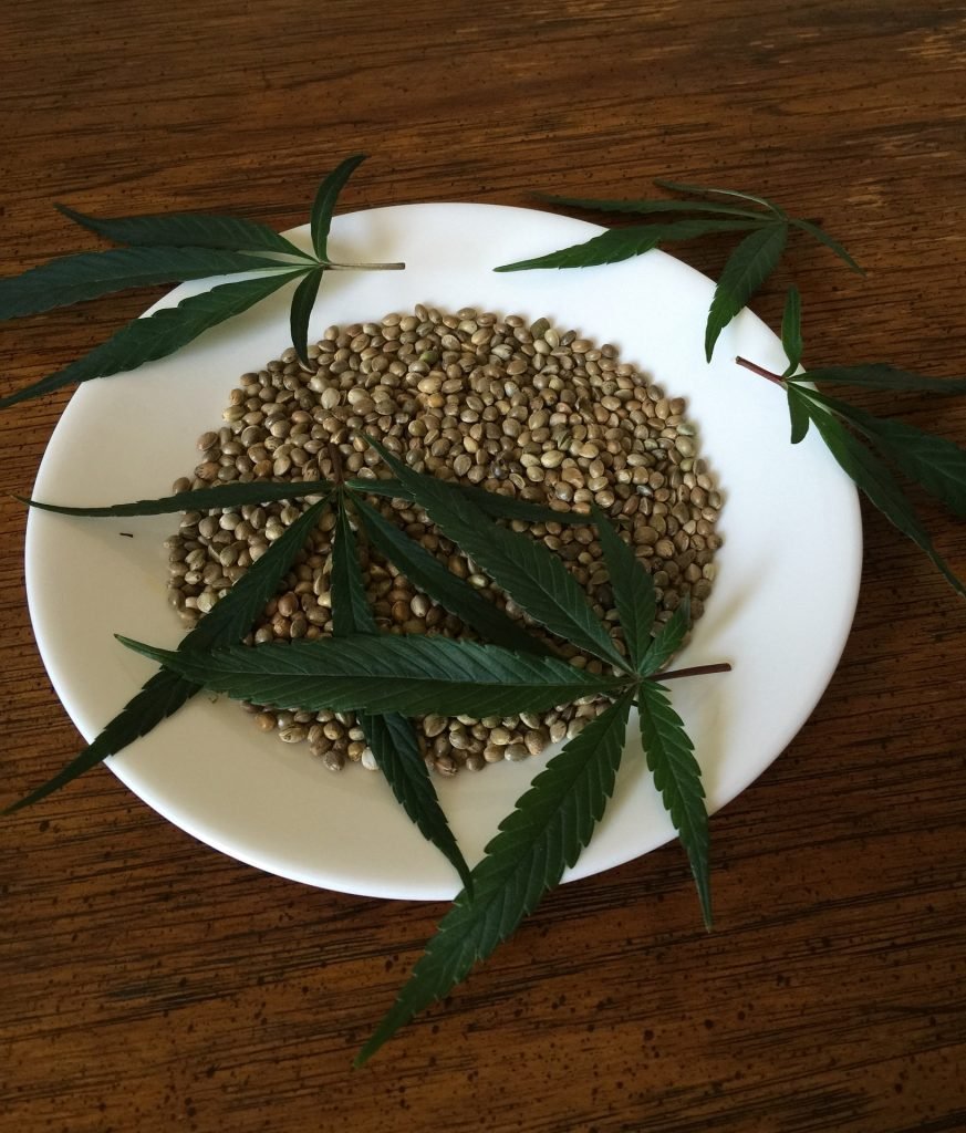 germinate marijuana seeds