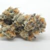 blue dream strain
