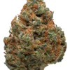 Durban Poison
