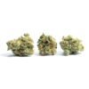 triple chocolate chip strain