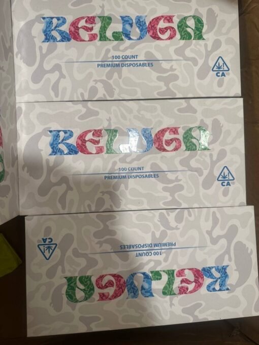 beluga 3g disposable