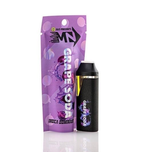 Glo Motion 2G Disposable Vape