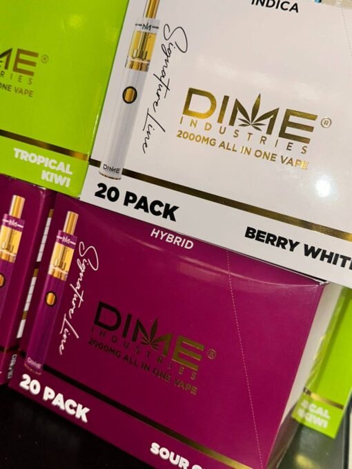 Dime 2G Disposable