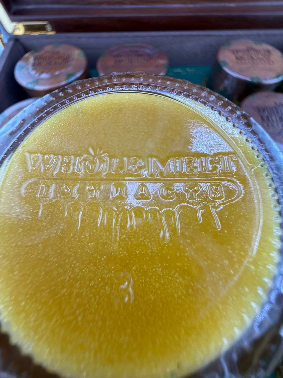 2025 Havana Edition Whole Melt ExtractS
