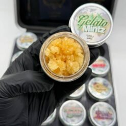 Whole melt passport edition wax